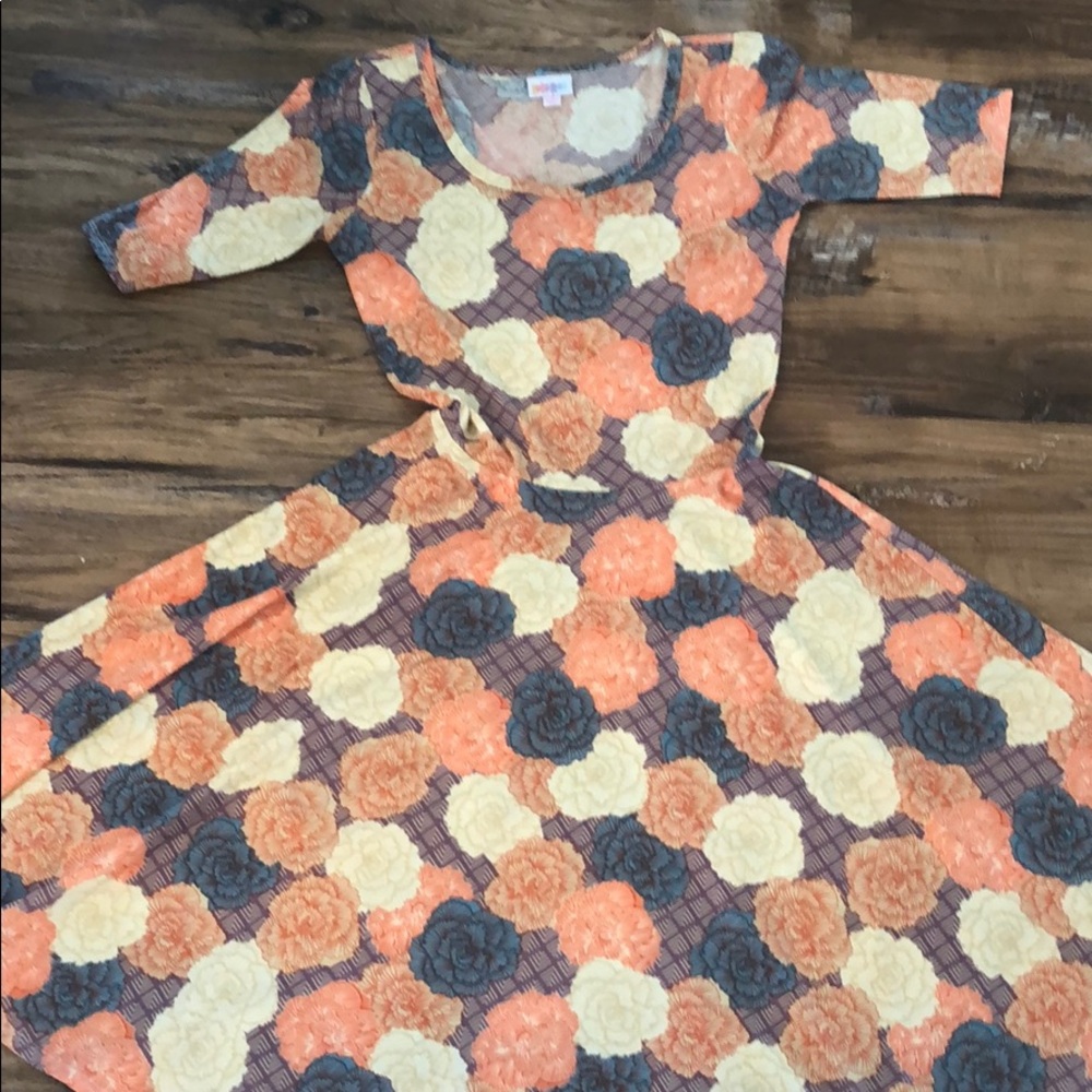 NWOT Lularoe Nicole Dress
